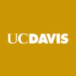 SEO certification by UC Davis earned by Shana Yasmin